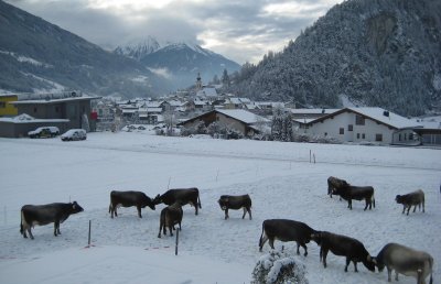 ferienwohnung_pitztal_winter2