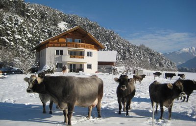 ferienwohnung_pitztal_winter7